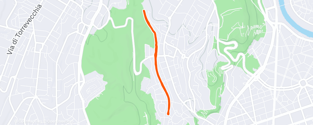 Карта физической активности (Tempo run)