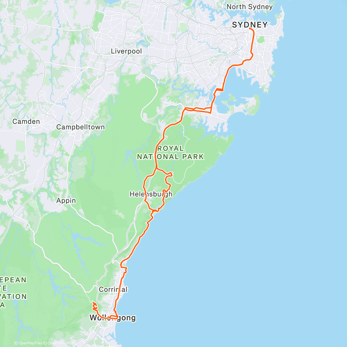 Карта физической активности (the gong + freeway 🚗)