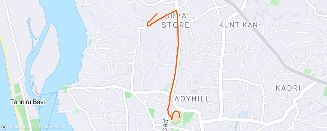 Map of the activity, Morning Walk and run