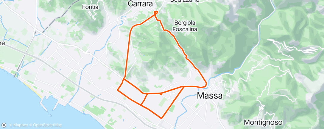 Map of the activity, Massa