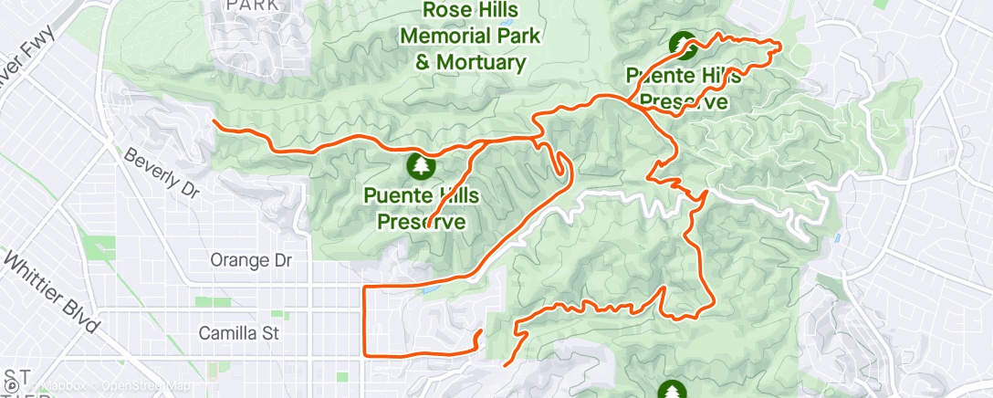 Map of the activity, Morning Trail Run