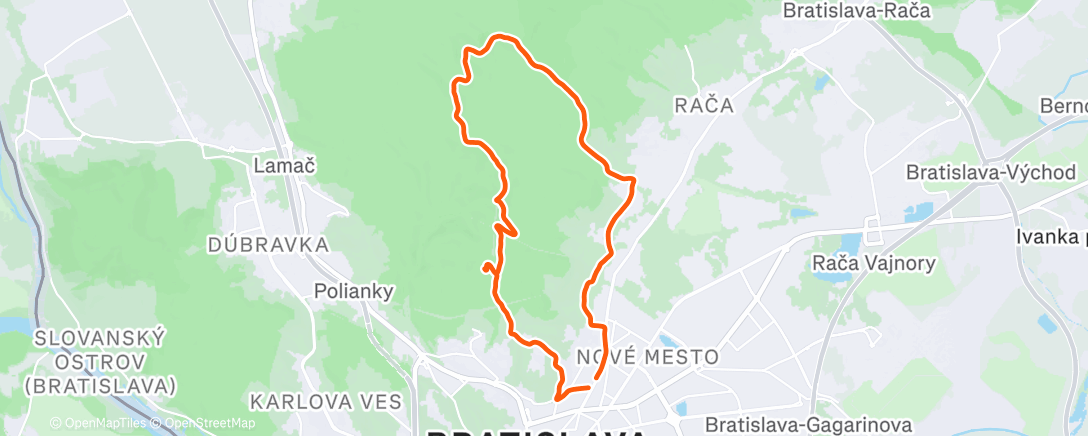 Карта физической активности (pred obedom 🍜)