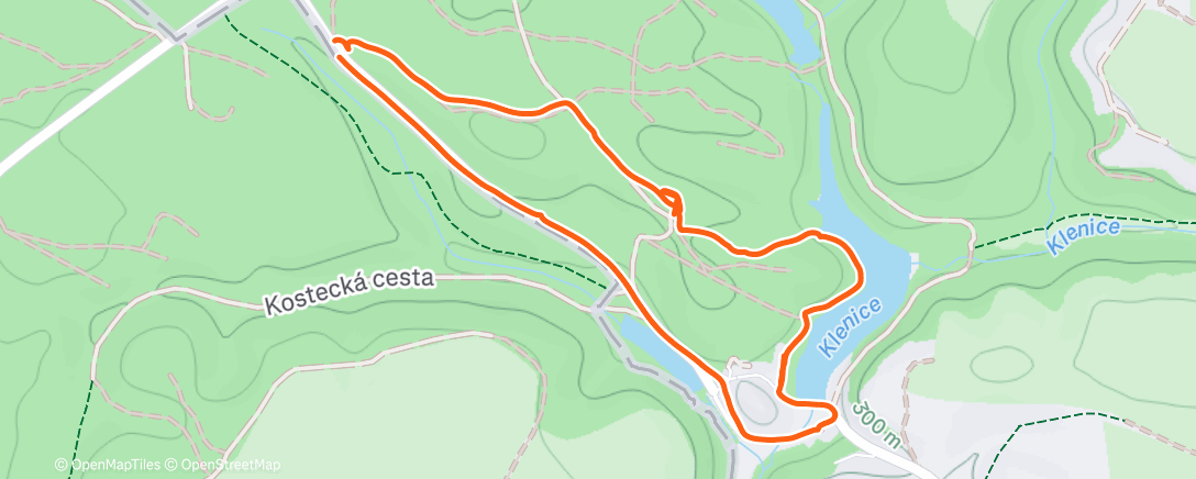 Карта физической активности (Kost)