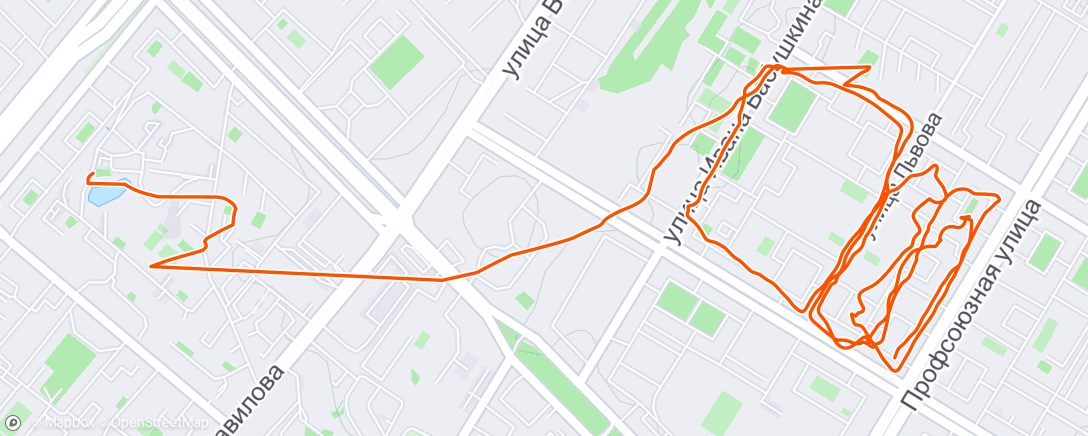 Map of the activity, Morning Run