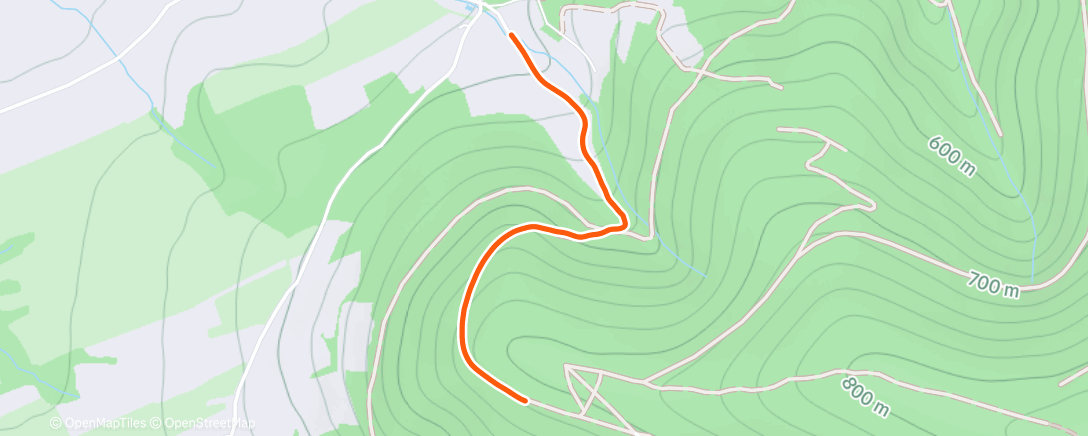 Map of the activity, Lunch Walk