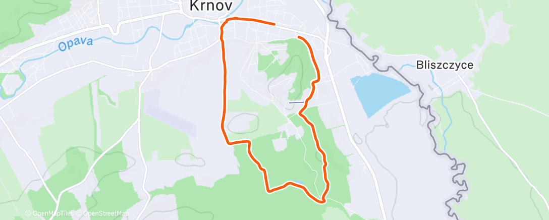 Карта физической активности (Afternoon Walk)