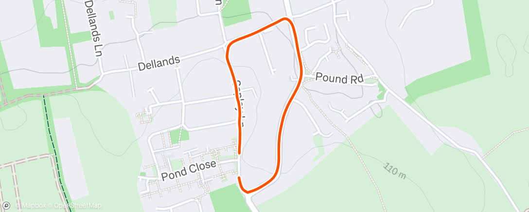 Map of the activity, Evening Dog Walk