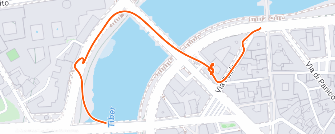 Map of the activity, Caminata por la Basílica de San Pedro