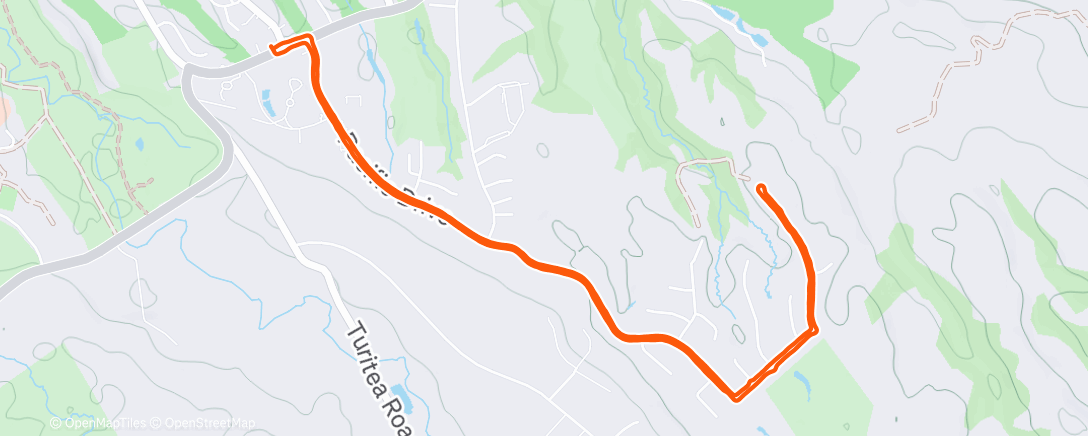 Карта физической активности (Morning Run)