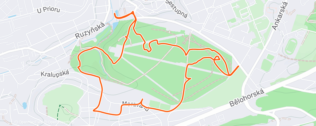 Map of the activity, Morning Trail Run