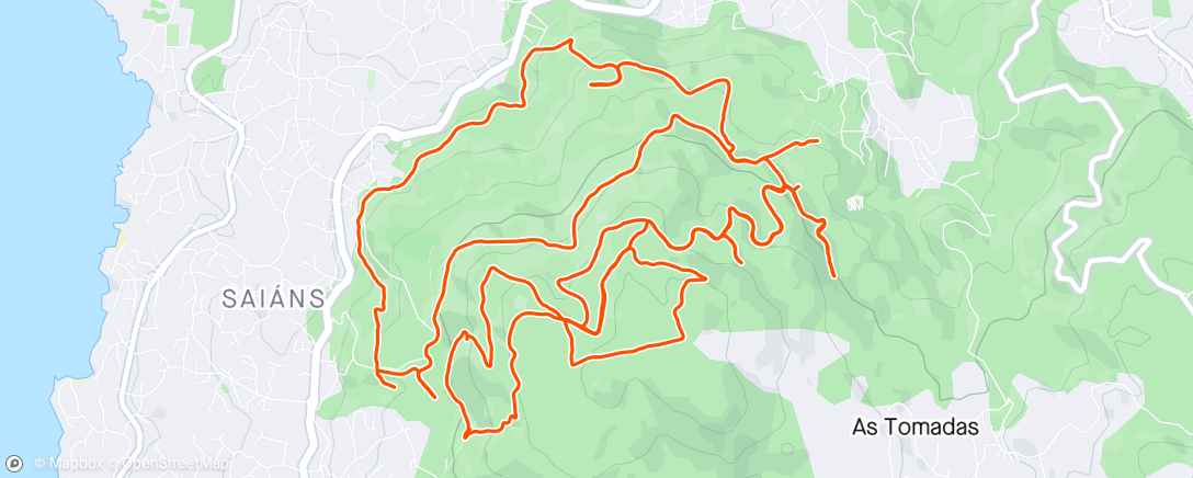 Map of the activity, MtbO