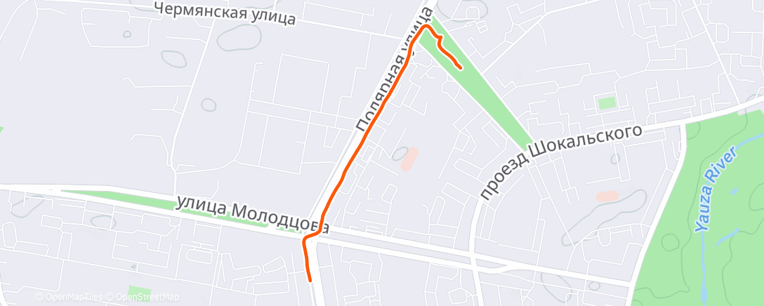 Карта физической активности (Вечерний забег)