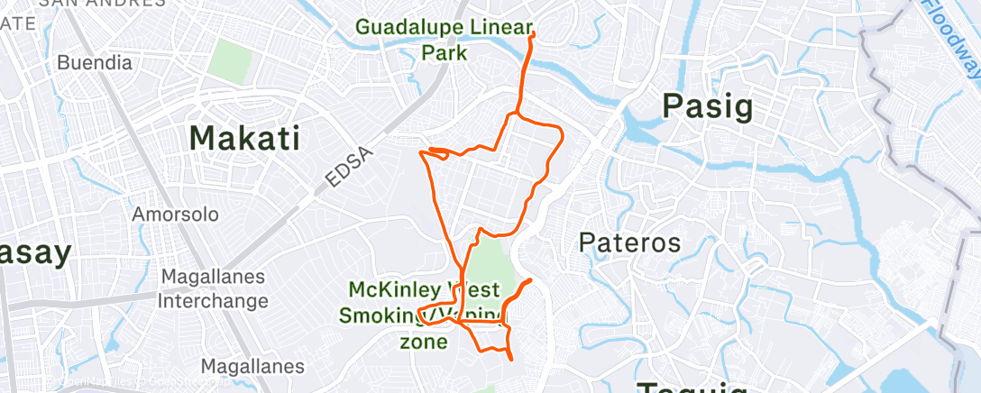 Map of the activity, Evening Run ☁️