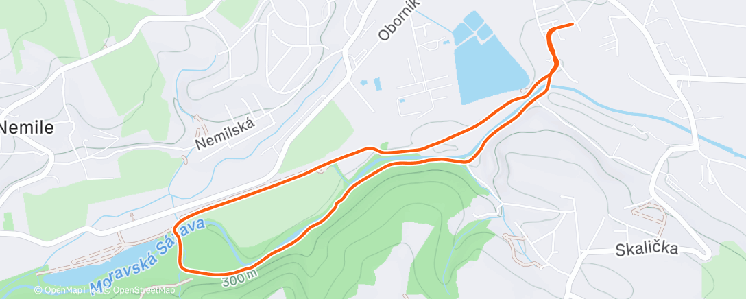 Карта физической активности (Morning Walk)