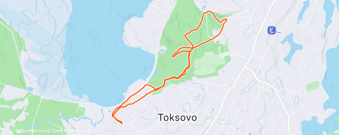 Карта физической активности (Дневной забег)