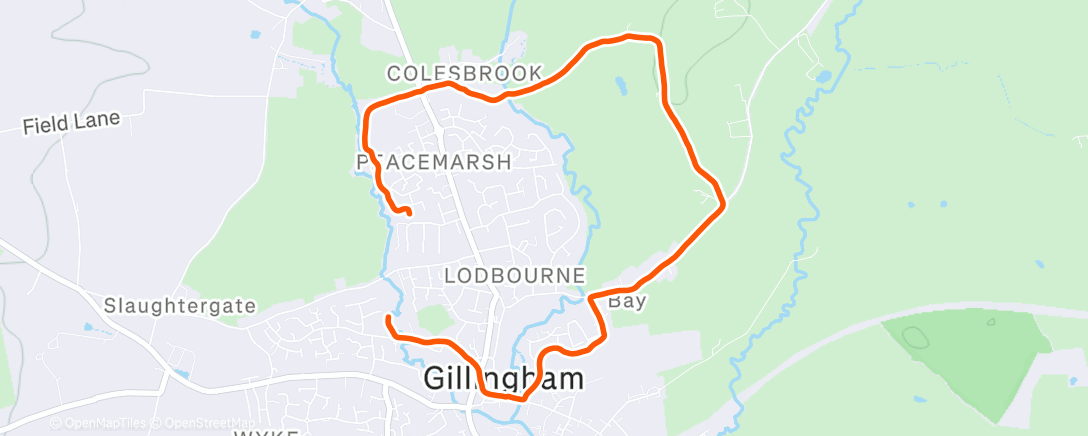 Map of the activity, Morning hilly 5k