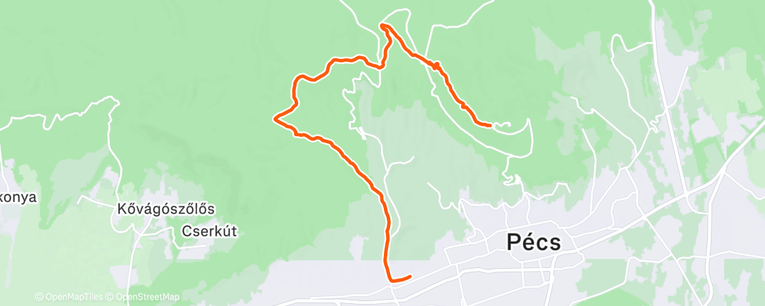 Map of the activity, Afternoon Trail Run