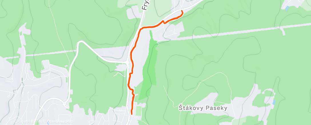 Карта физической активности (Silvestrovský běh)