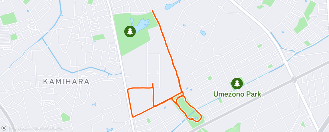 Map of the activity, Lunch Run