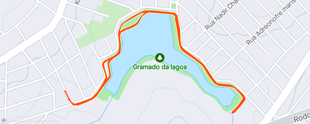 Map of the activity, 7 km