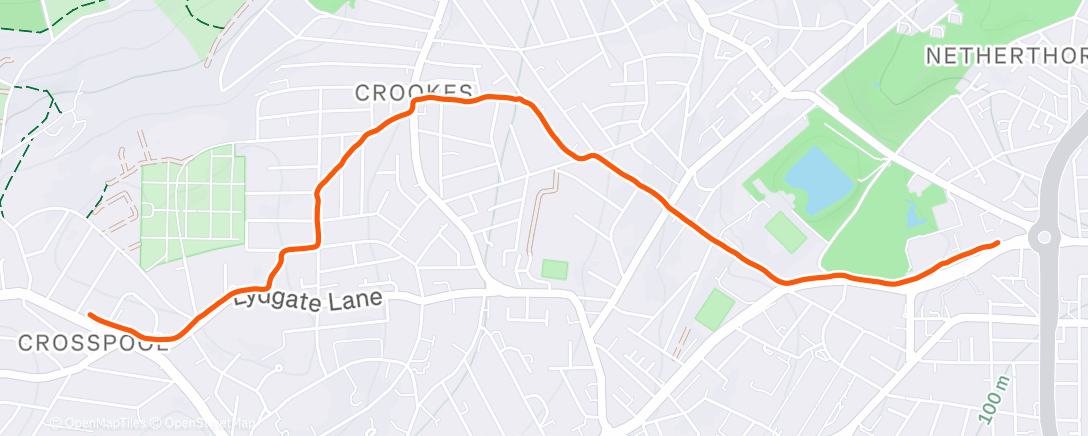 Map of the activity, Morning Trail Run