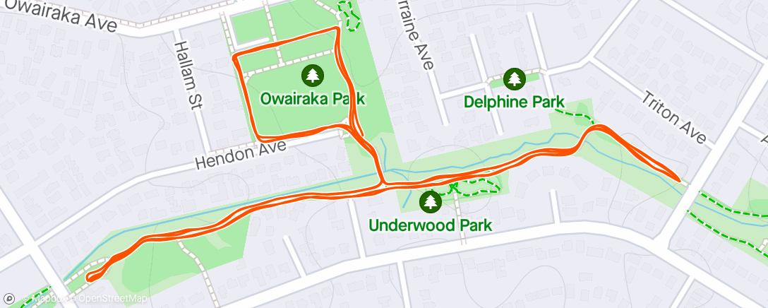 Map of the activity, Owairaka Parkrun (162)