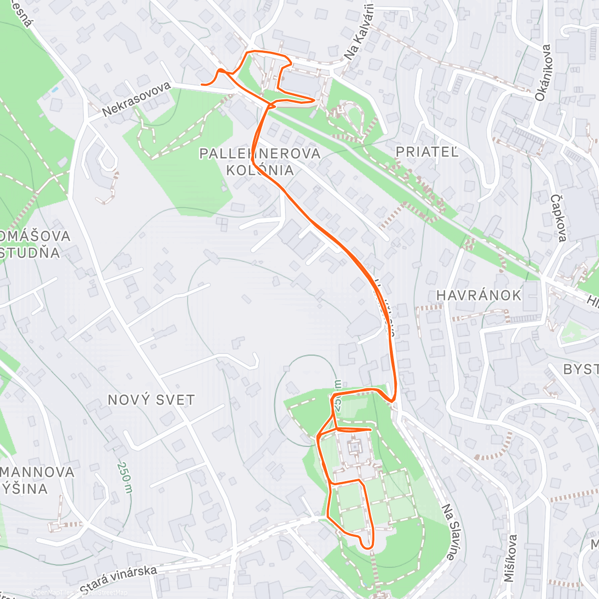 Map of the activity, Afternoon Walk