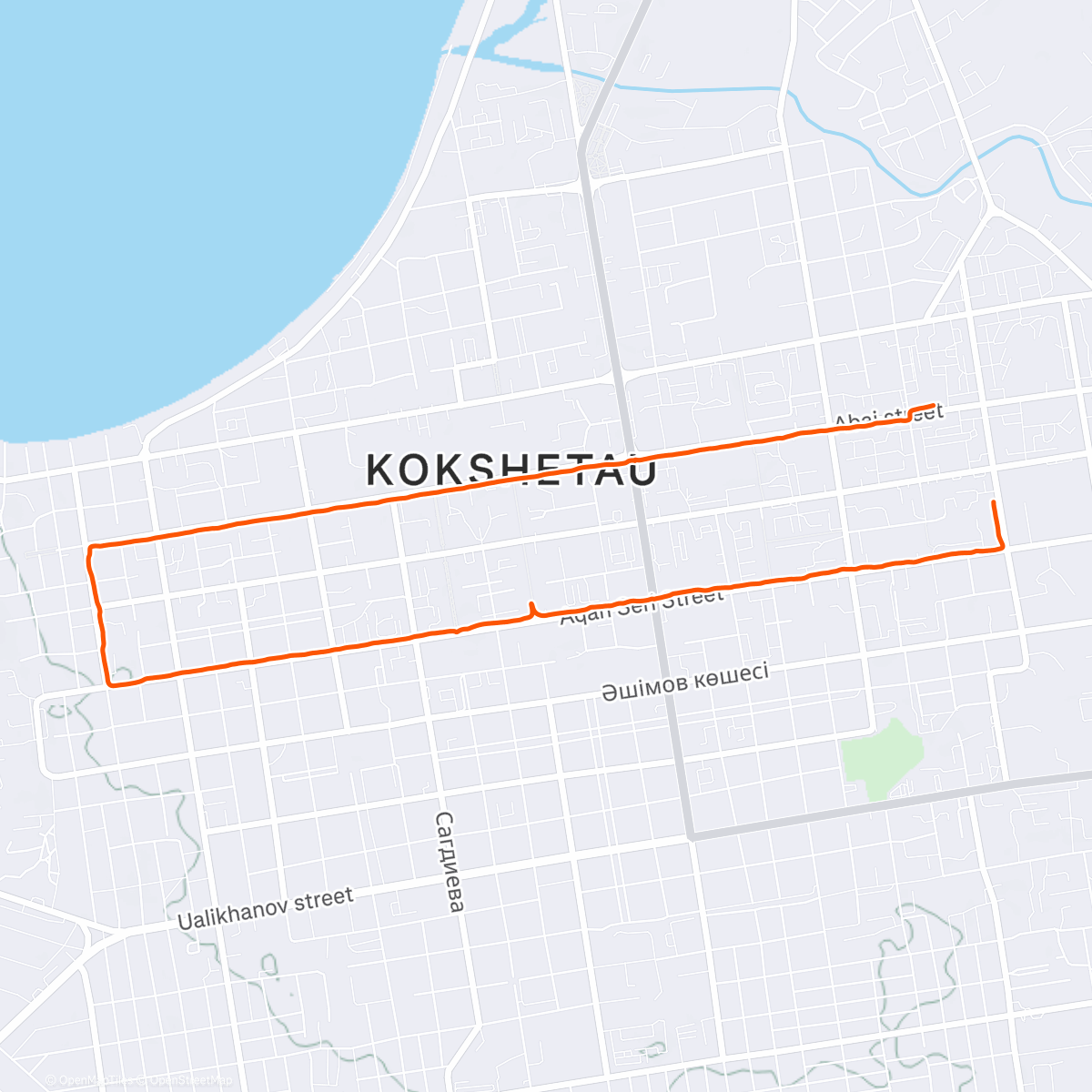 Карта физической активности (Вечерний забег)