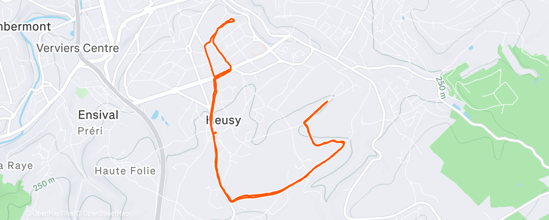 Map of the activity, Verviers - Volume 10K