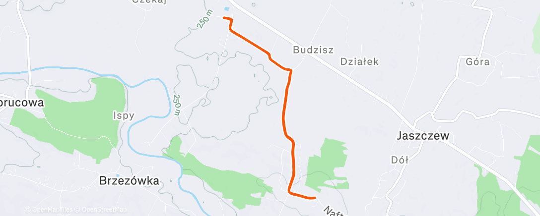 Map of the activity, Morning Run