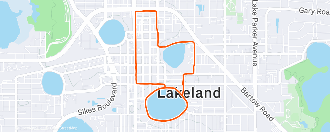 Mapa de la actividad (Morning Run)