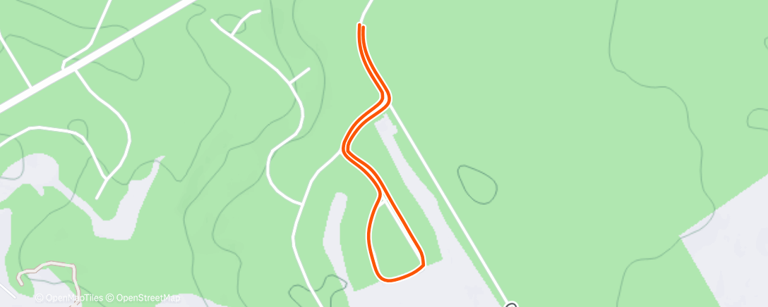 Карта физической активности (Morning Run)