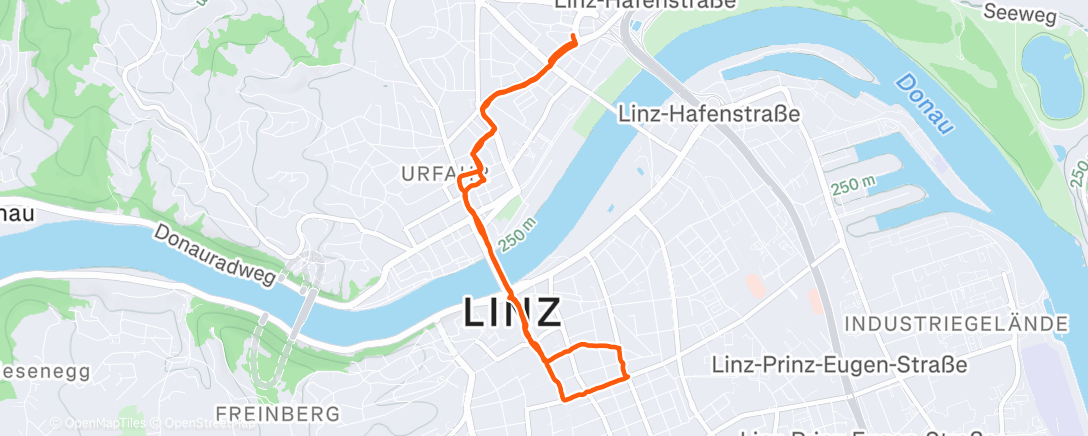 Карта физической активности (Lunch Walk)