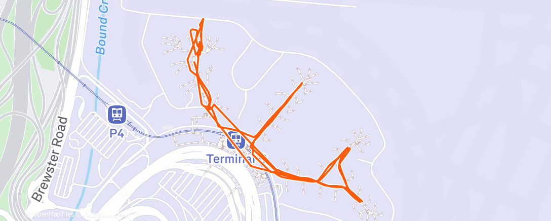 Карта физической активности (Morning Walk)