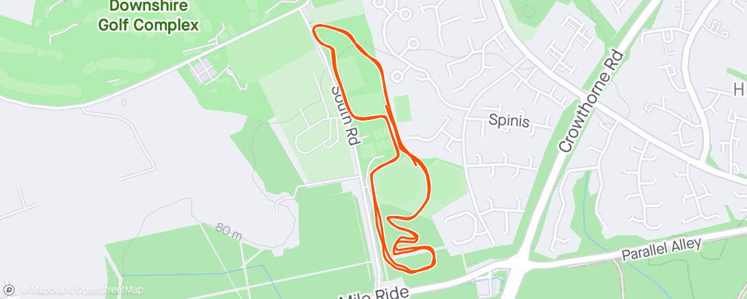 Mapa da atividade, Bracknell park run