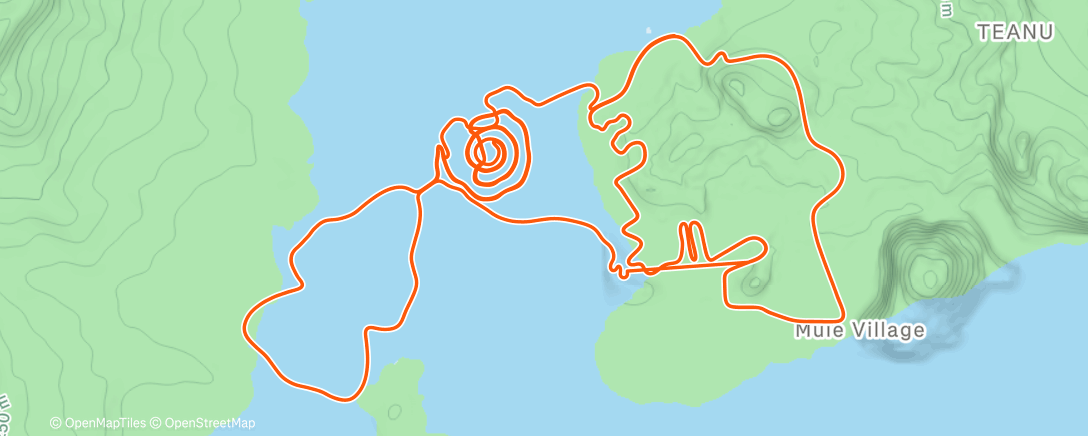 Карта физической активности (Zwift - 1 pk1 30m on Loopin Lava in Watopia)