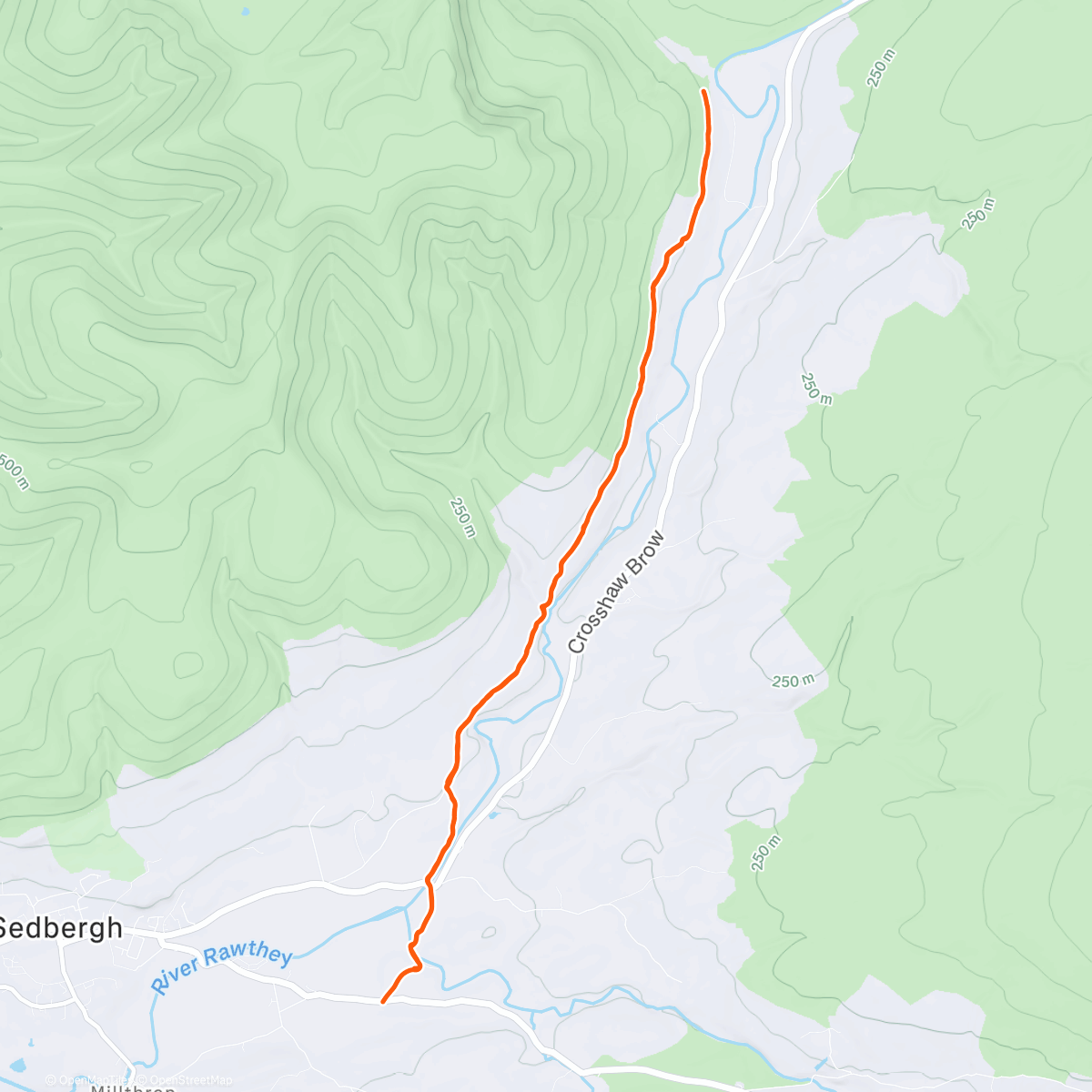 Карта физической активности (Afternoon Trail Run)