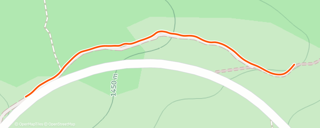 Mappa dell'attività Lunch Run