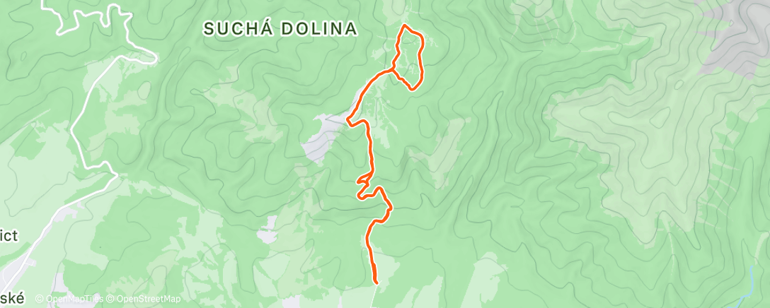 Map of the activity, With my Strava Buddy of 2025 🤣