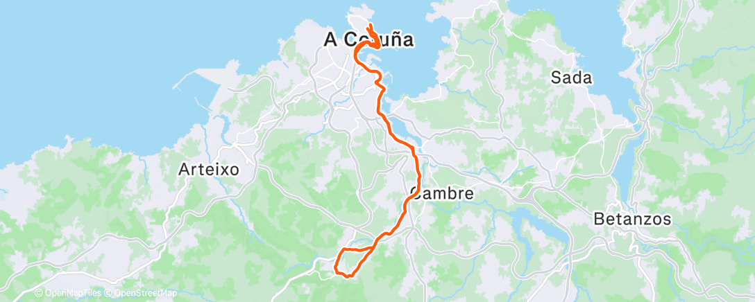 Carte de l'activité Flory 1 - Roi 0