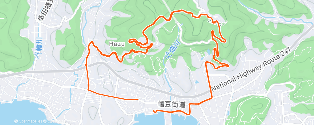 Карта физической активности (Morning Ride)