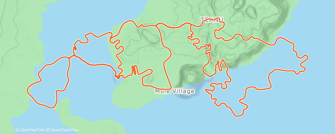 Map of the activity, Zwift - Watts of the Wild in Watopia