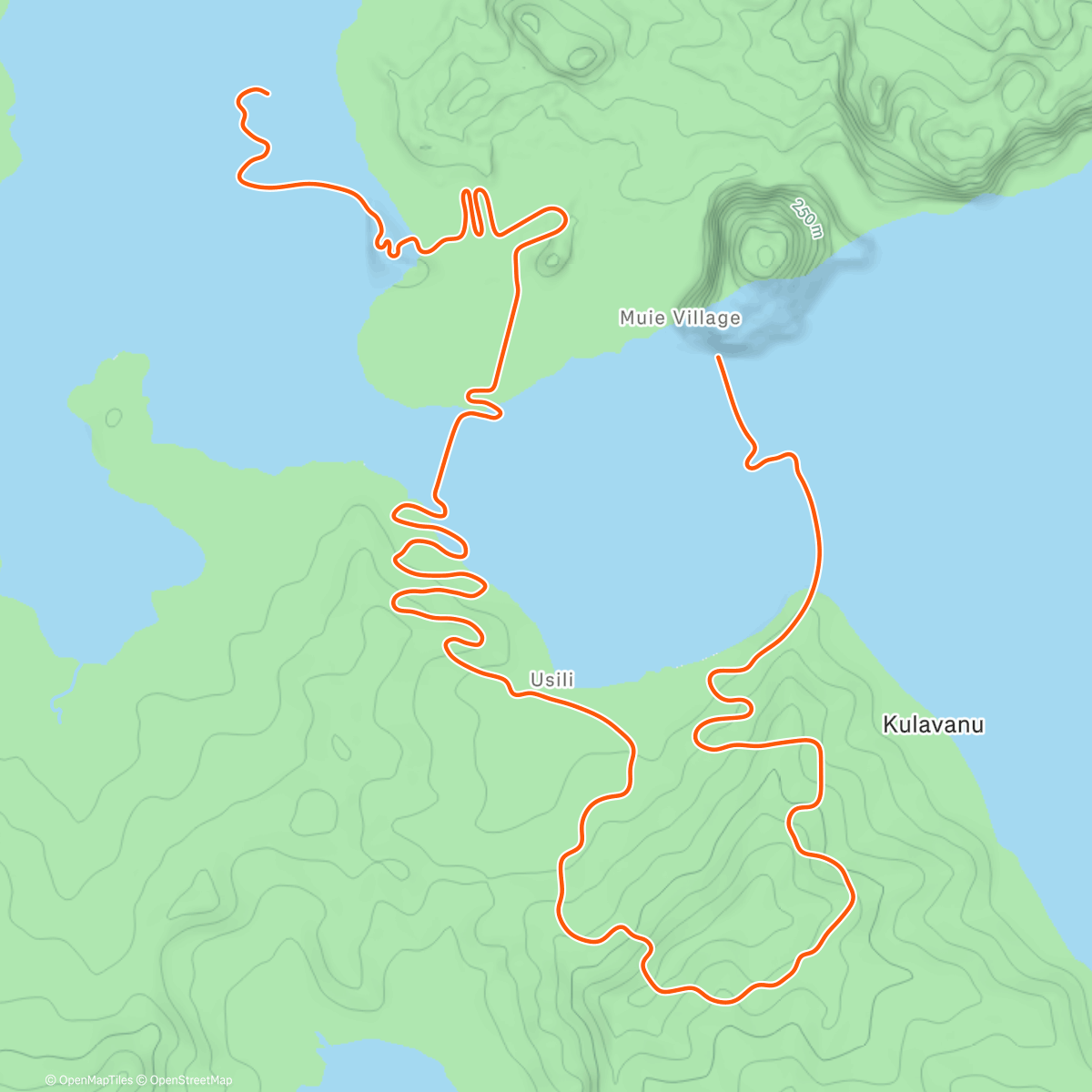 Map of the activity, Zwift - Threshold Development -x mass fail