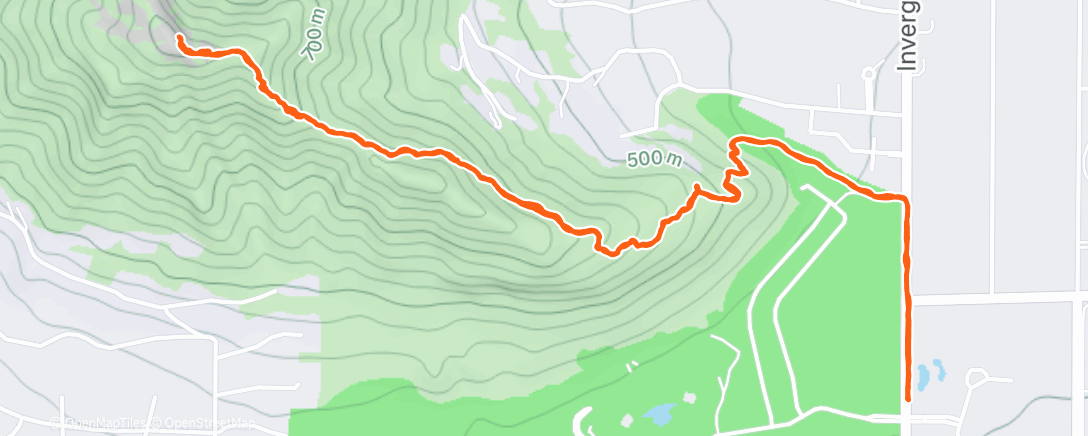 Карта физической активности (Afternoon Hike)