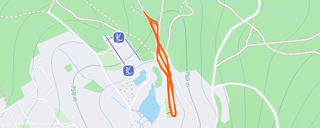 Карта физической активности (Afternoon Nordic Ski)