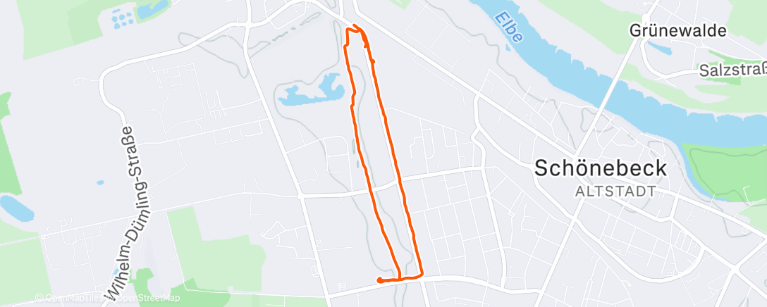 Карта физической активности (Lauf am Mittag)