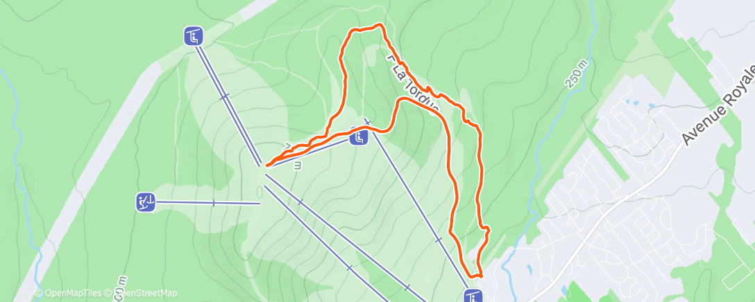 Карта физической активности (MSA up - Pichard down)