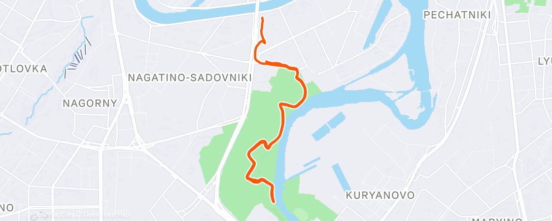 Карта физической активности (Afternoon run)