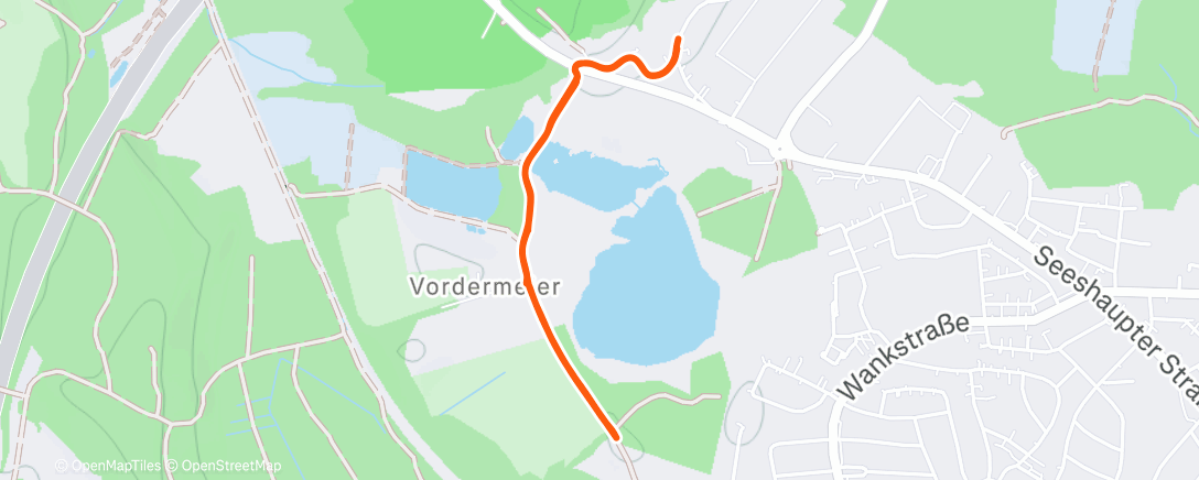 Карта физической активности (Afternoon Walk)