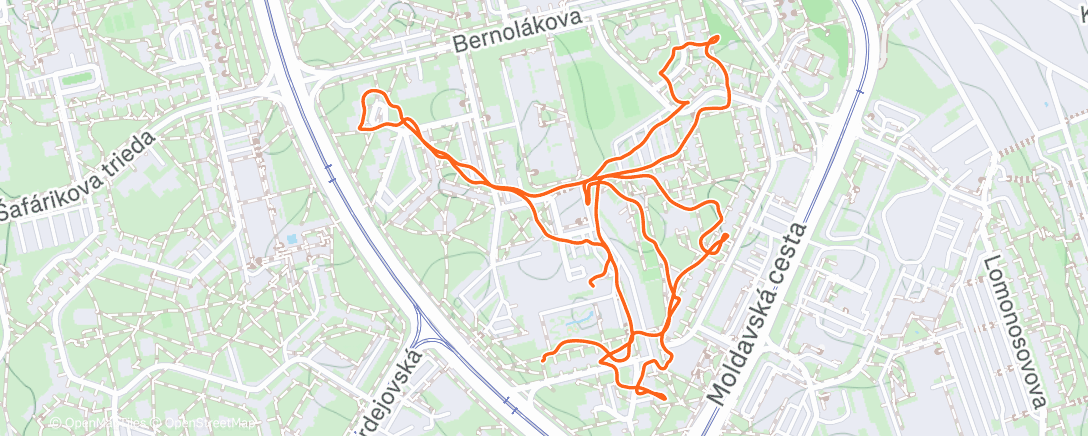 Map of the activity, Morning Activity